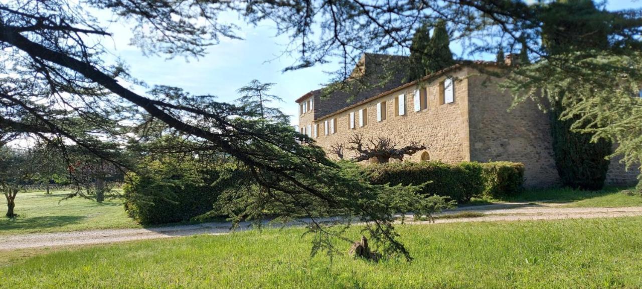 Chateau Saint-Pierre De Mejans Puyvert Buitenkant foto