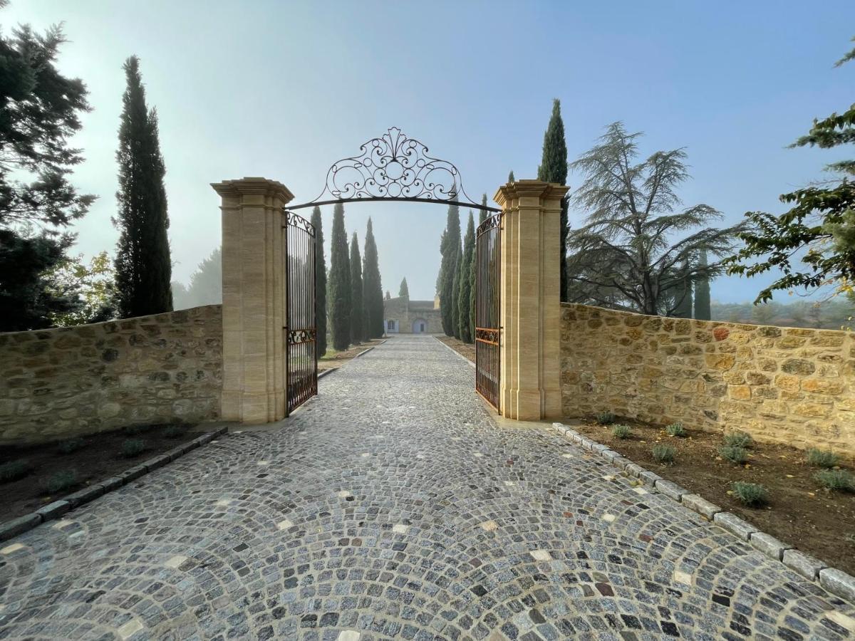 Chateau Saint-Pierre De Mejans Puyvert Buitenkant foto