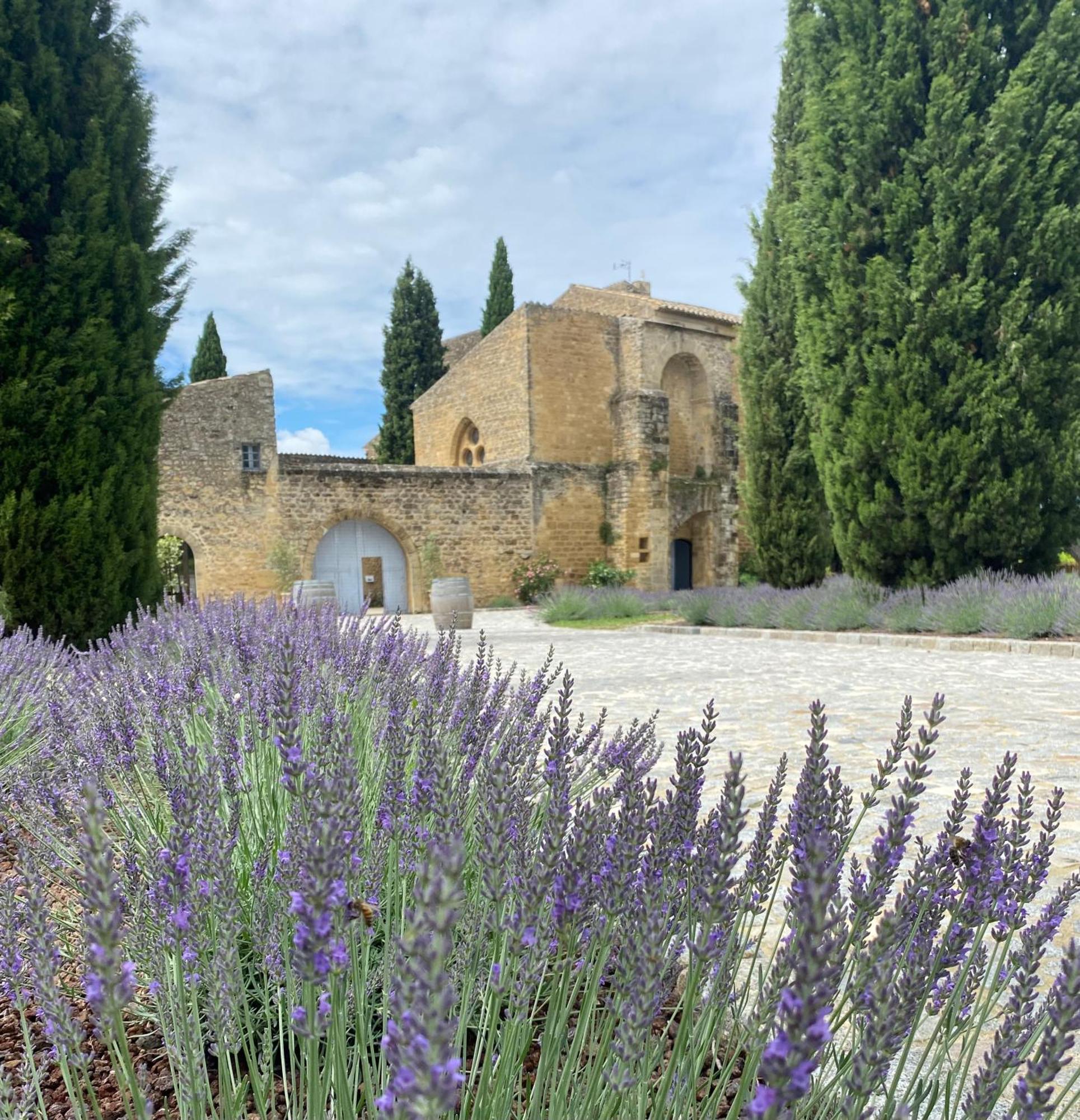 Chateau Saint-Pierre De Mejans Puyvert Buitenkant foto