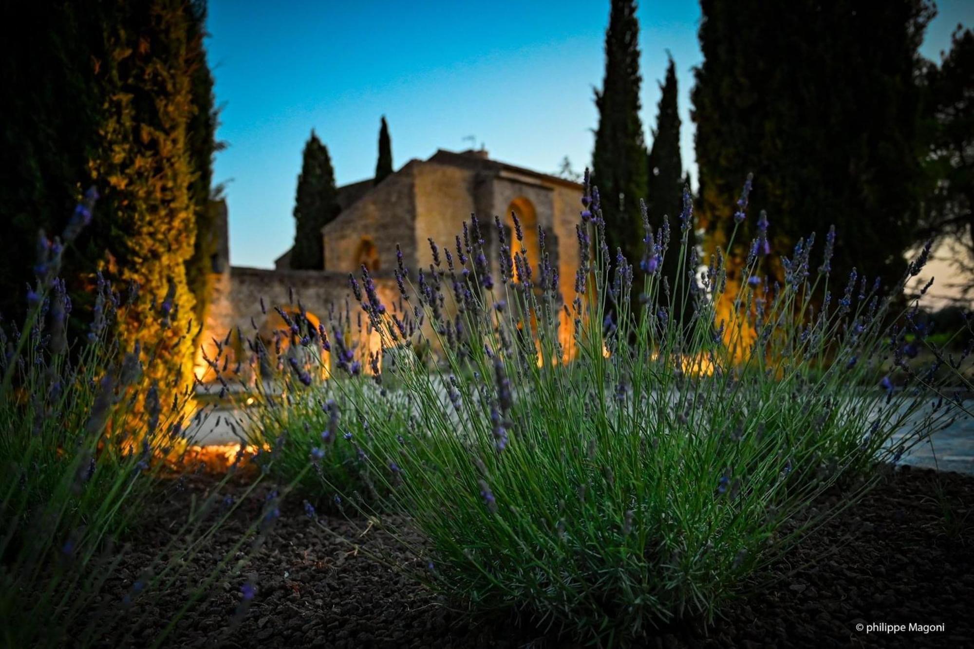 Chateau Saint-Pierre De Mejans Puyvert Buitenkant foto