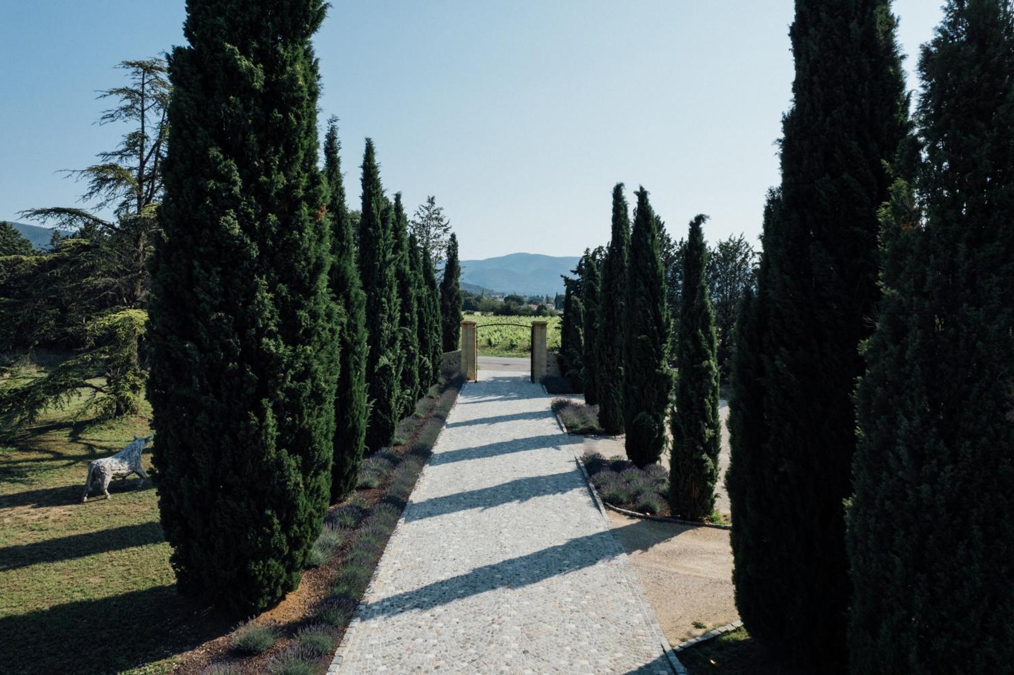Chateau Saint-Pierre De Mejans Puyvert Buitenkant foto